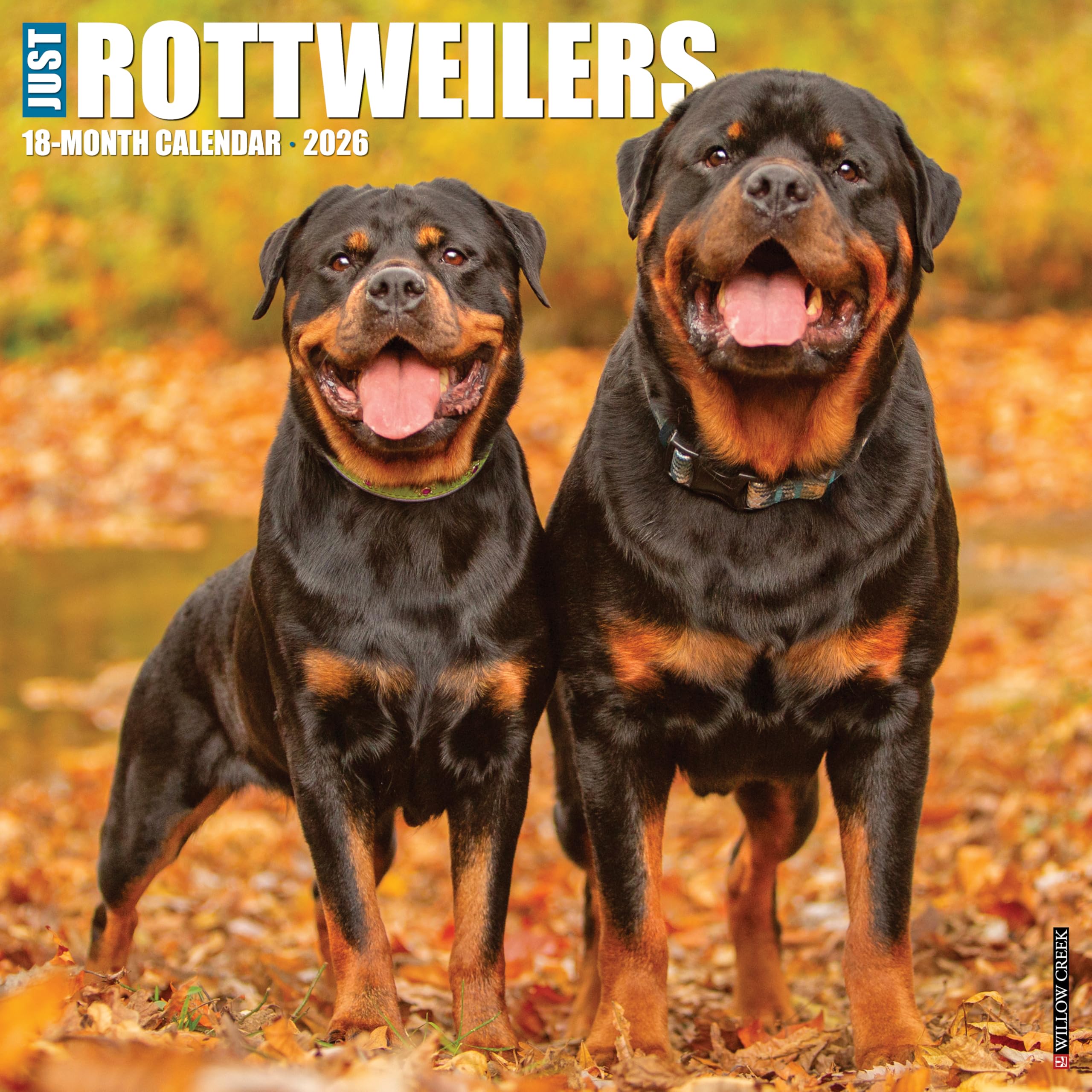 Rottweilers 2026 12 X 12 Wall Calendar book