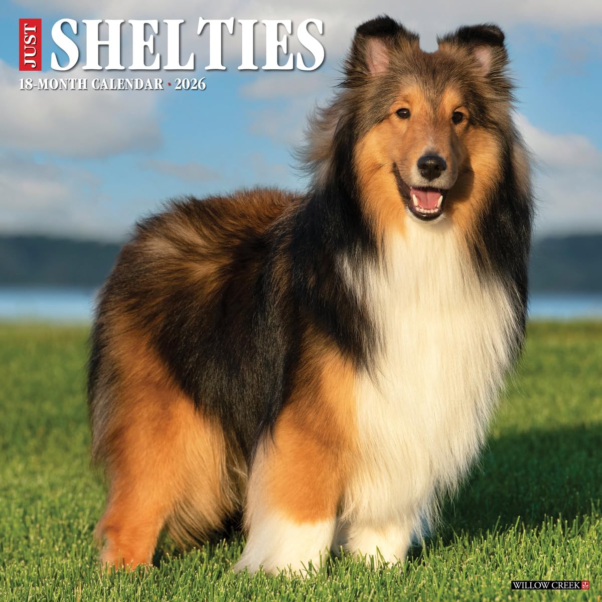 Shelties 2026 12 X 12 Wall Calendar Pets