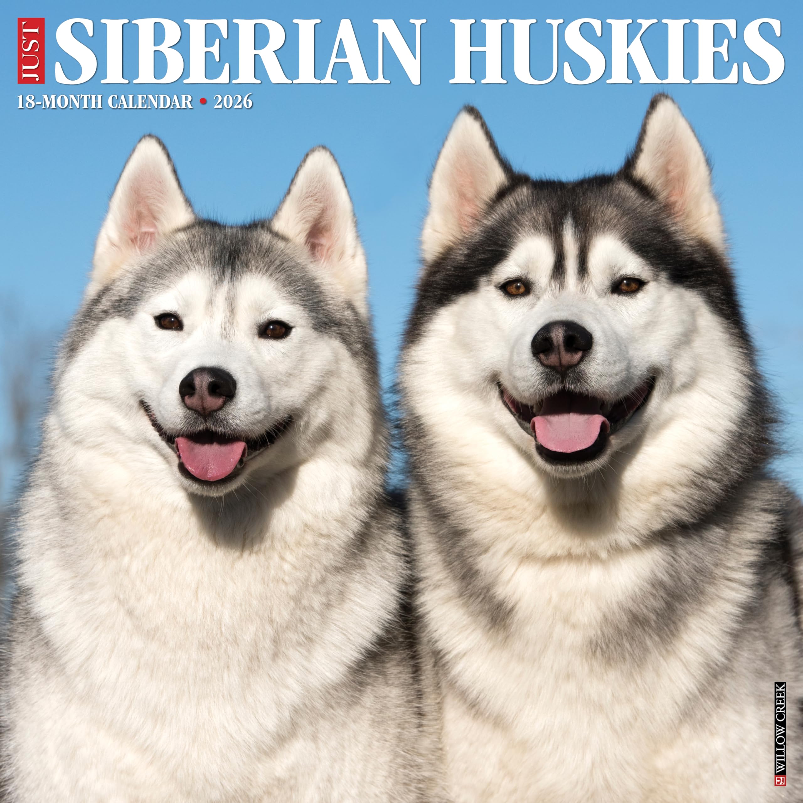 Siberian Huskies 2026 12 X 12 Wall Calendar Pets
