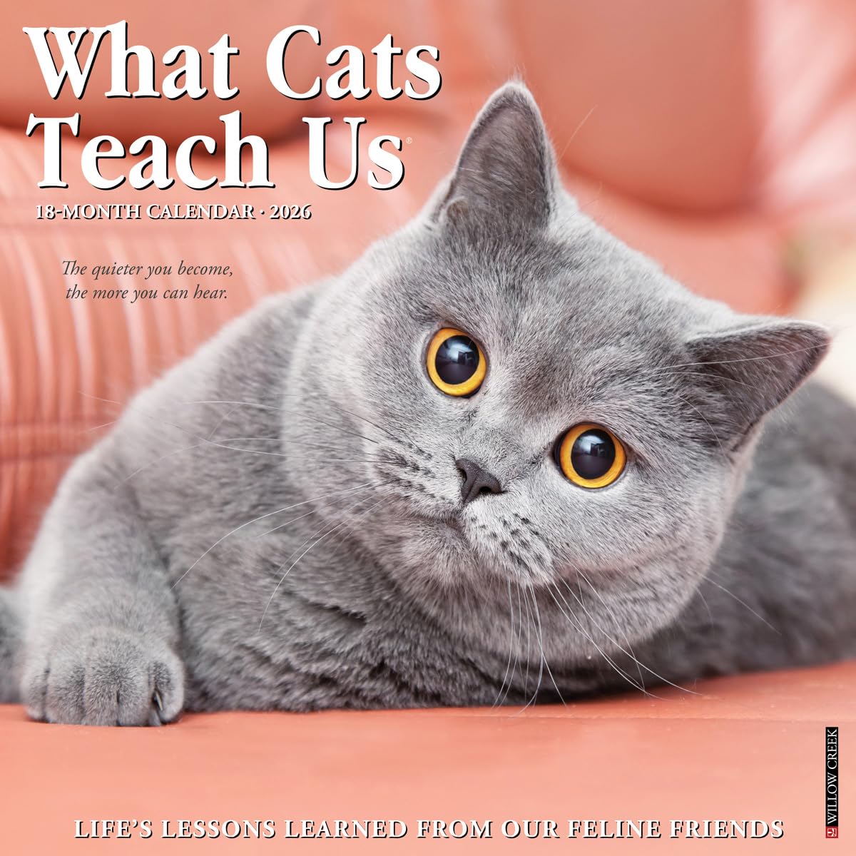 What Cats Teach Us 2026 12 X 12 Wall Calendar Business, Finance & Career