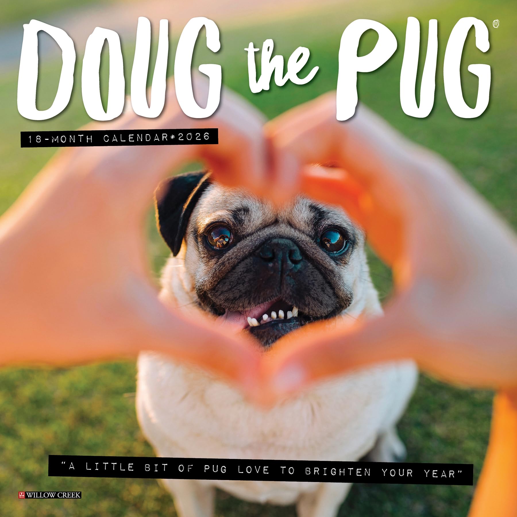 Doug the Pug 2026 7 X 7 Mini Wall Calendar Pets