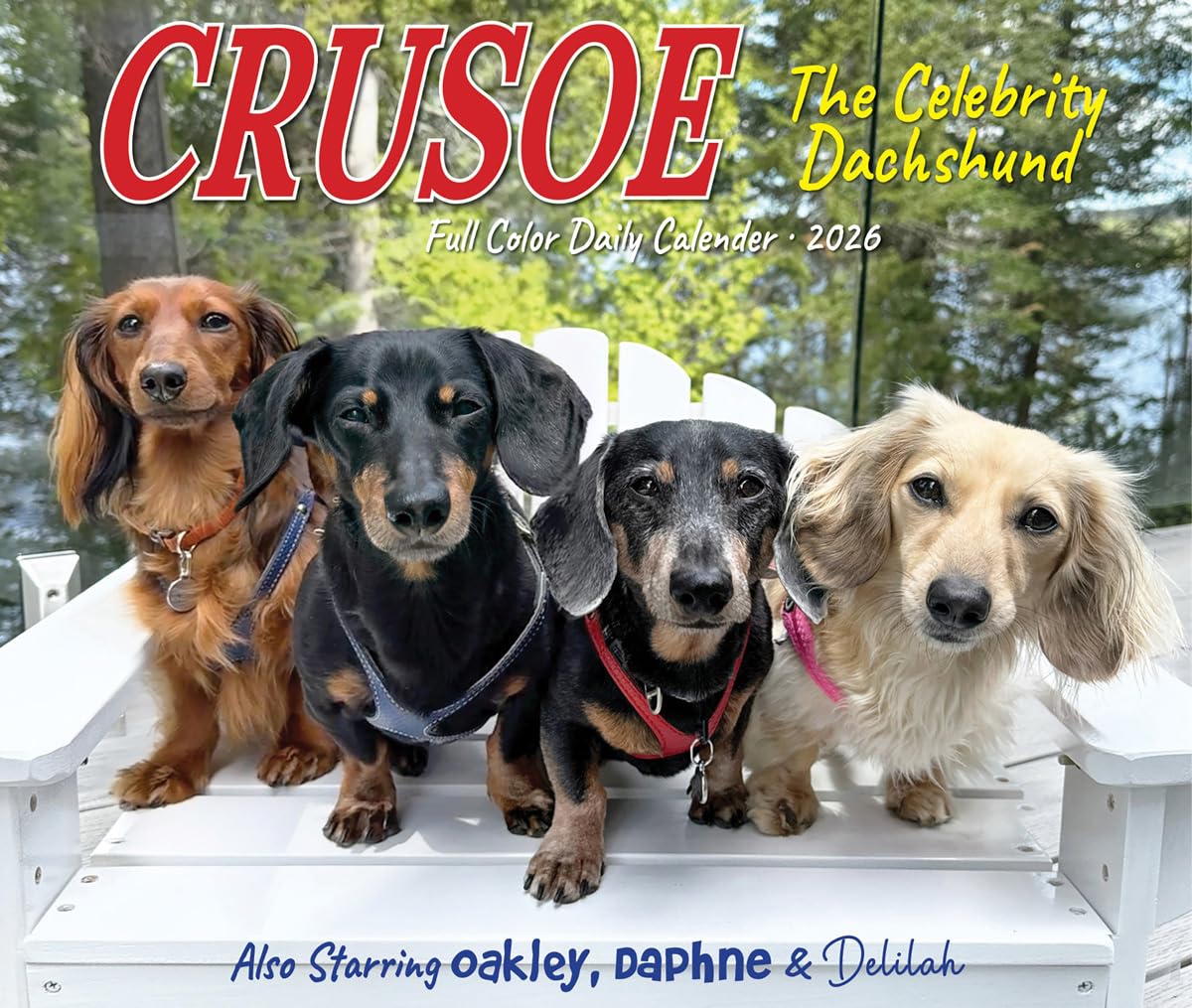 Crusoe the Celebrity Dachshund 2026 5.4 X 6.2 Box Calendar Pets