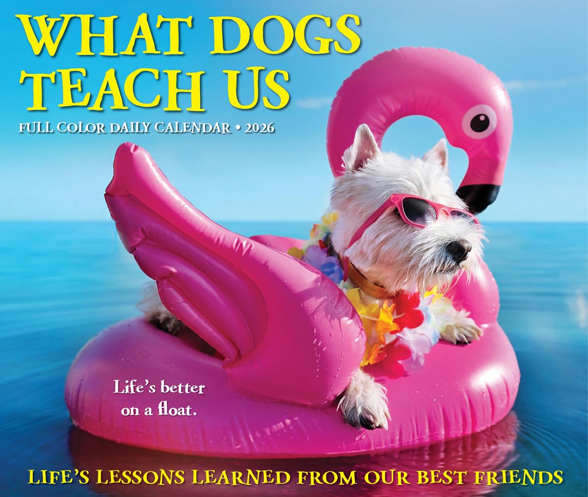 What Dogs Teach Us 2026 5.4 X 6.2 Box Calendar Pets