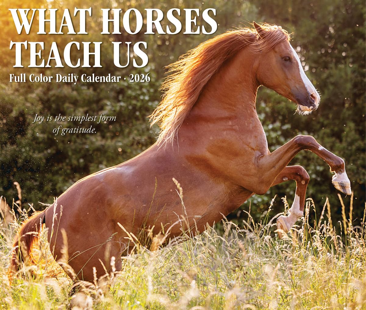 What Horses Teach Us 2026 5.4 X 6.2 Box Calendar Pets