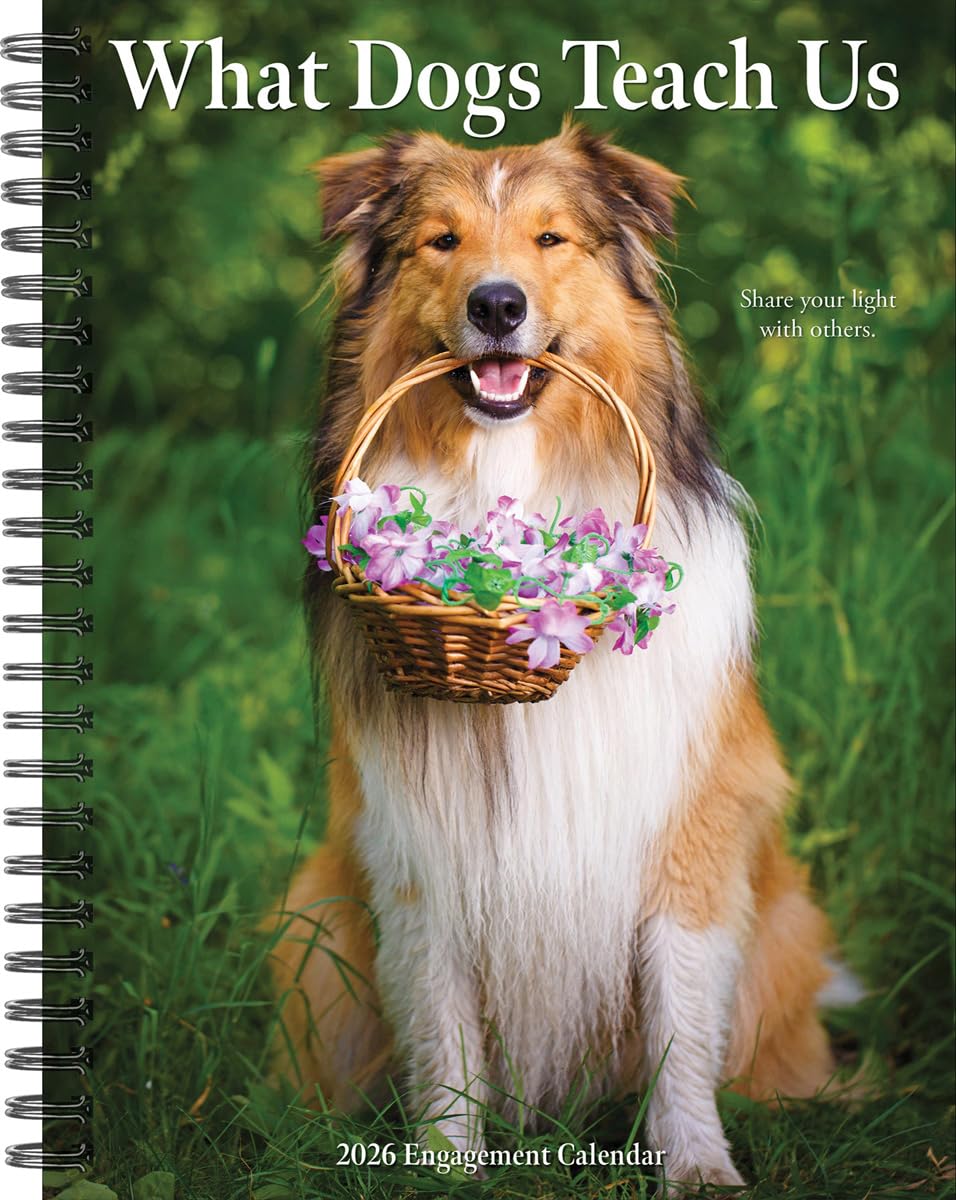 What Dogs Teach Us 2026 6.5 X 8.5 Engagement Calendar Pets