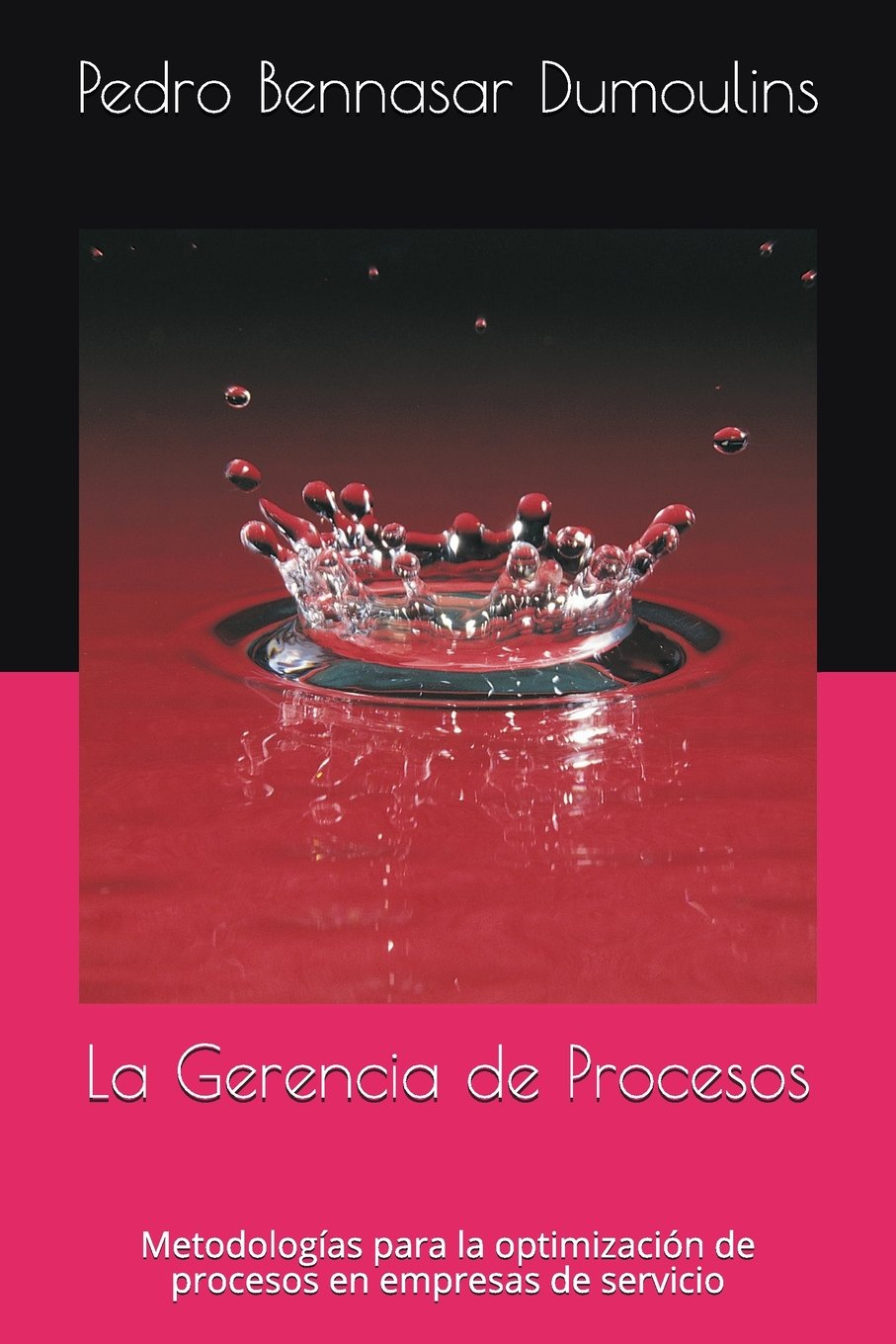 La Gerencia de Procesos: Metodologías para la optimización de procesos en empresas de servicio Business, Finance & Career