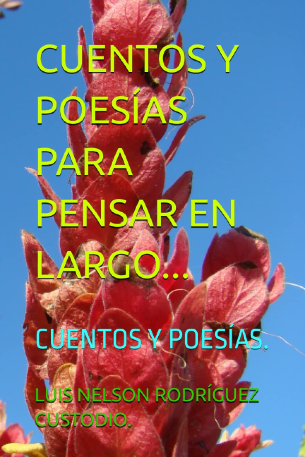 CUENTOS Y POESÍAS PARA PENSAR EN LARGO...: CUENTOS Y POESÍAS. Poetry