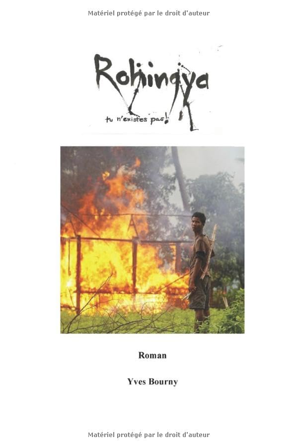 Rohingya tu n'existes pas!: Le genocide lent des musulmans de Birmanie book