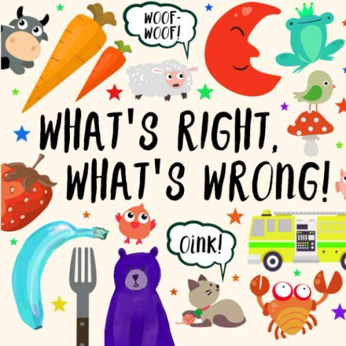 What's Right, What's Wrong!: A Fun Guessing Game for 2-4 year olds Non-fiction