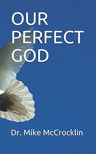 Product Image: OUR PERFECT GOD