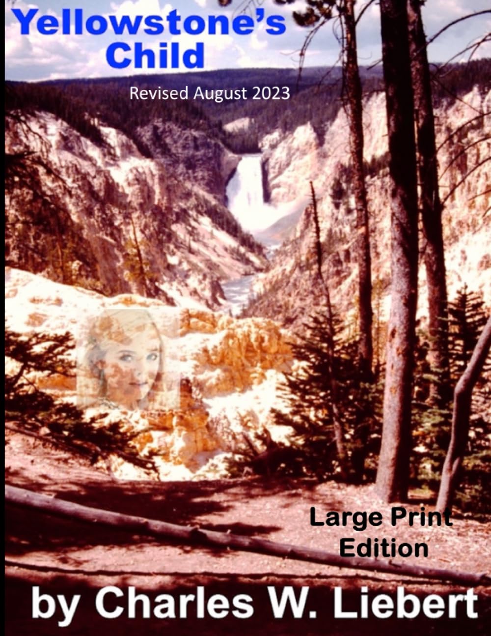 Yellowstone's Child: What's her name? Sarah or Sally, Johanson or Graham or Johnson or Detective Elaine Scott? NO! It's Yellowstone's Child (Yellowstone's Child Reading Options) Contemporary literature Books