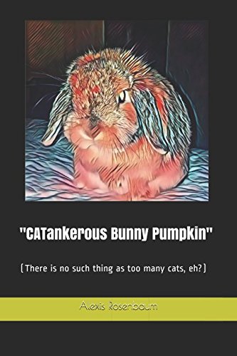 "CATankerous Bunny Pumpkin": (There is no such thing as too many cats, eh?) Humour & Satire