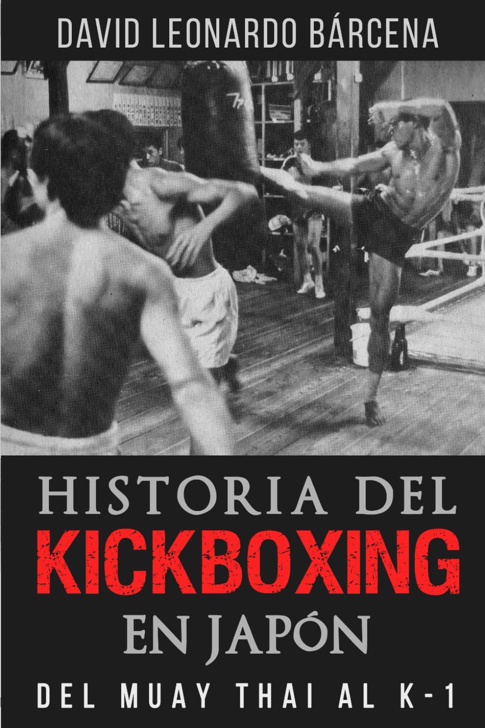 HISTORIA DEL KICKBOXING EN JAPÓN: DEL MUAY THAI AL K-1 book