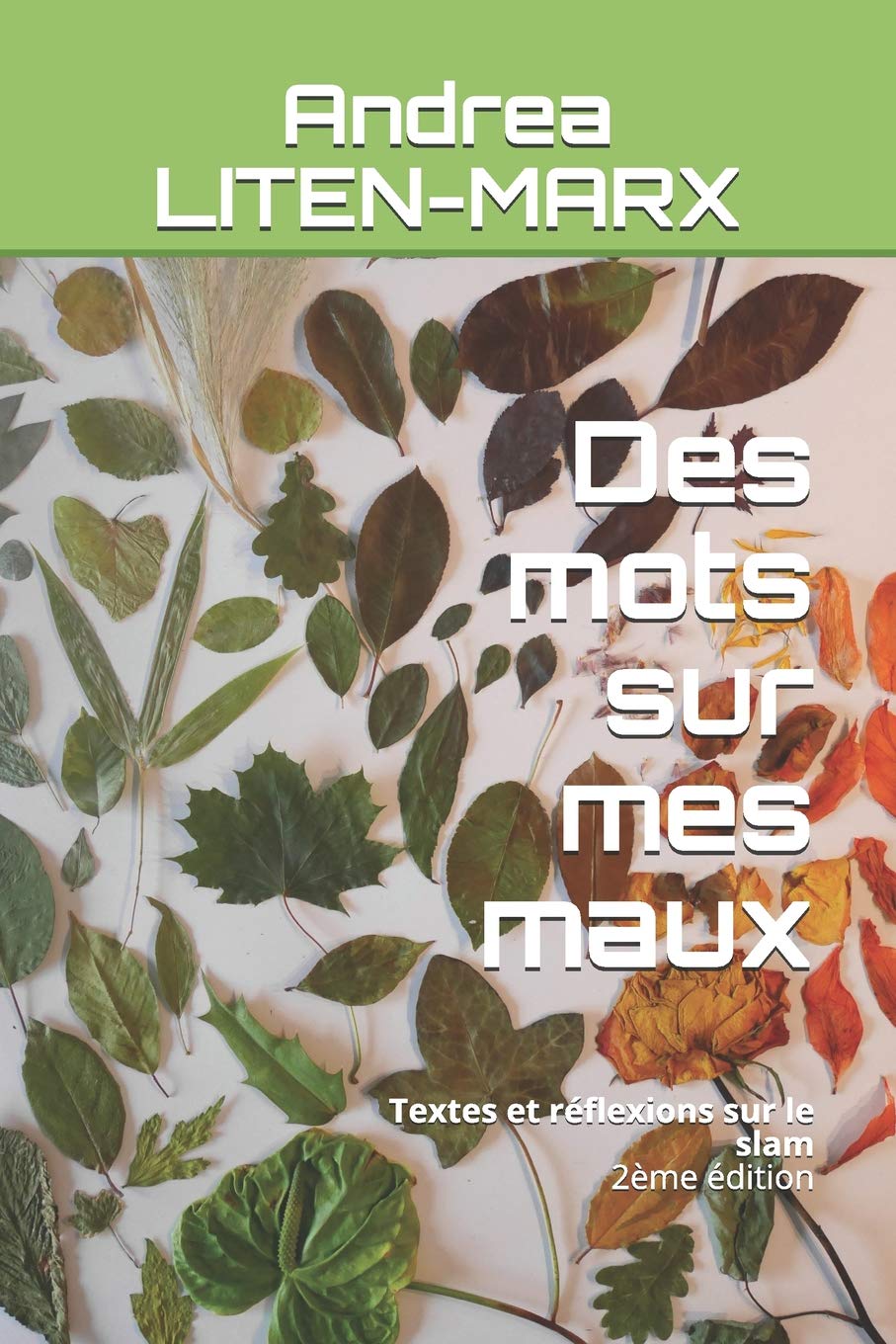 Des mots sur mes maux: Textes et réflexions sur le slam Humour & Satire