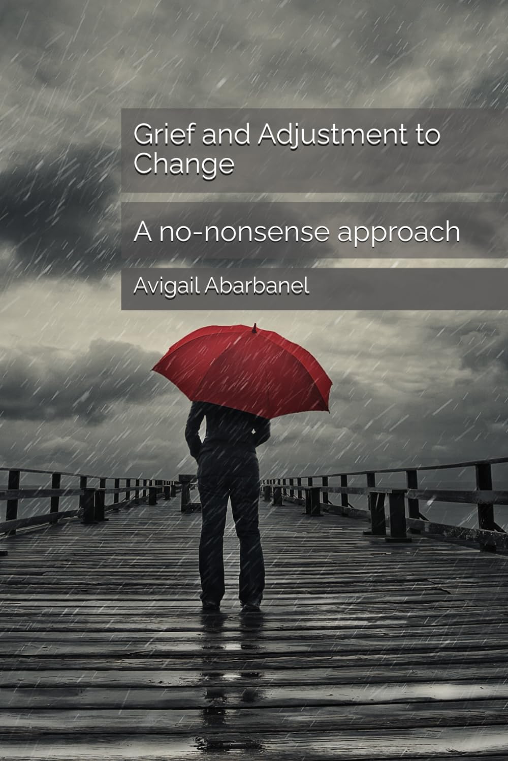 Grief and Adjustment to Change: A no-nonsense approach (Fully Human Psychotherapy Tools for Life Series, Band 1) Lifestyle
