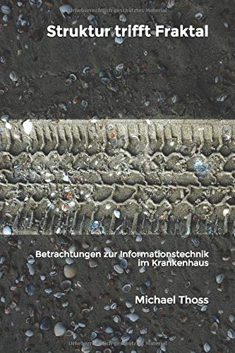 Struktur trifft Fraktal: Betrachtungen der Informationstechnik im Krankenhaus Business, Finance & Career