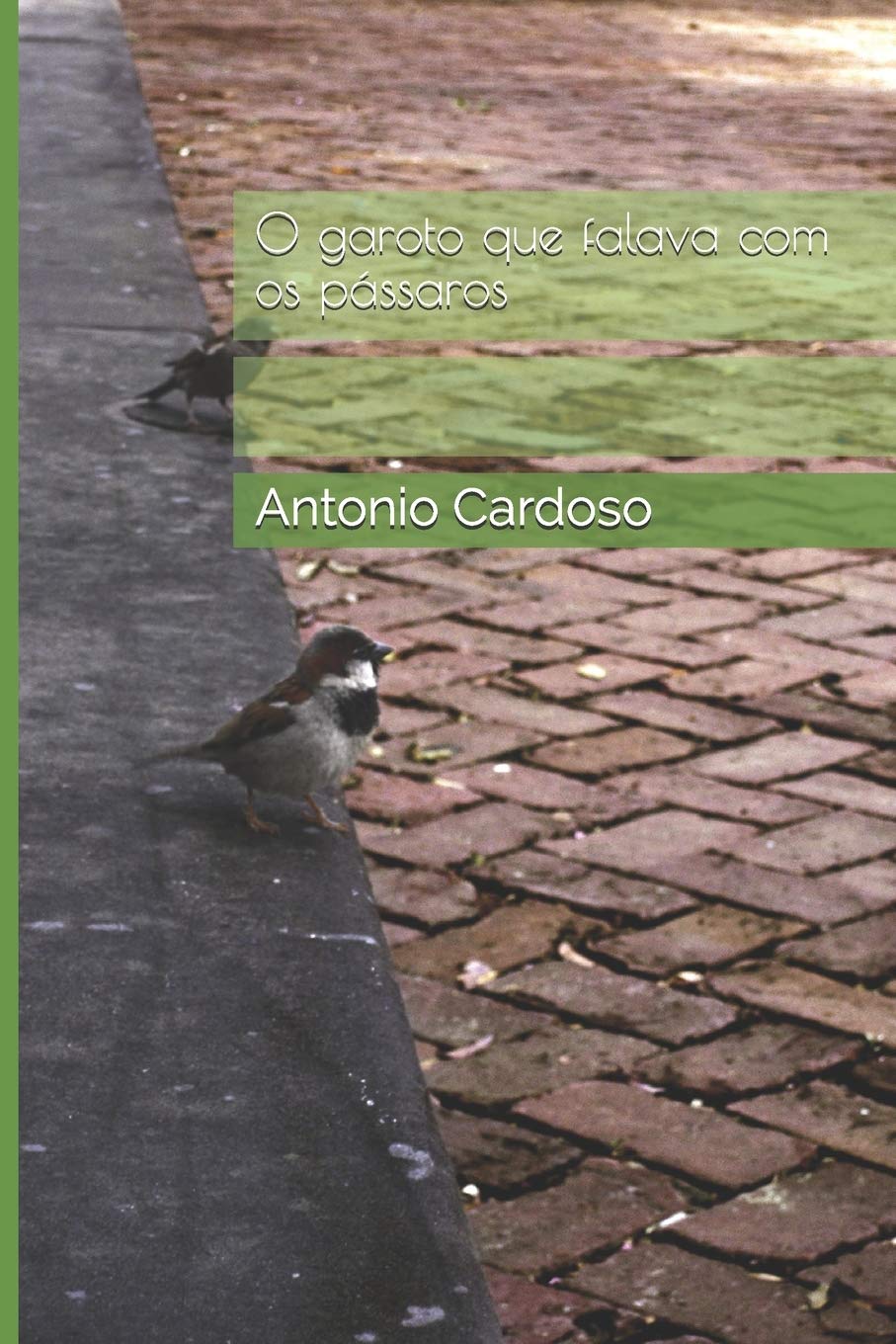 O garoto que falava com os pássaros Contemporary Romance