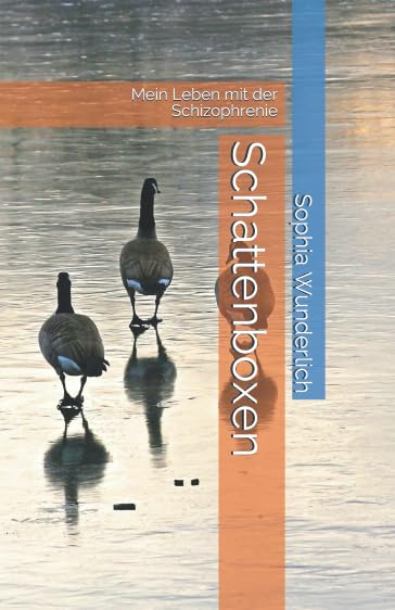Schattenboxen: Mein Leben mit der Schizophrenie Art & Literature