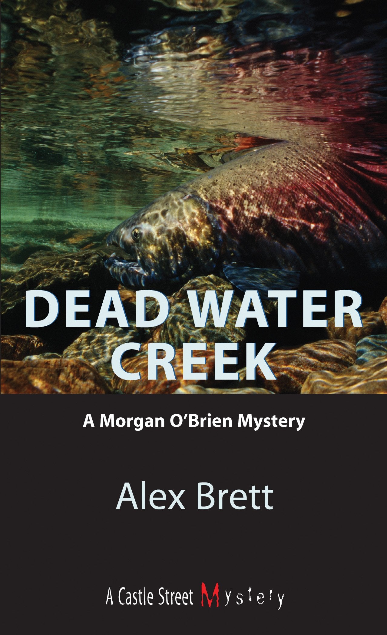 Dead Water Creek: A Morgan O'Brien Mystery Contemporary literature
