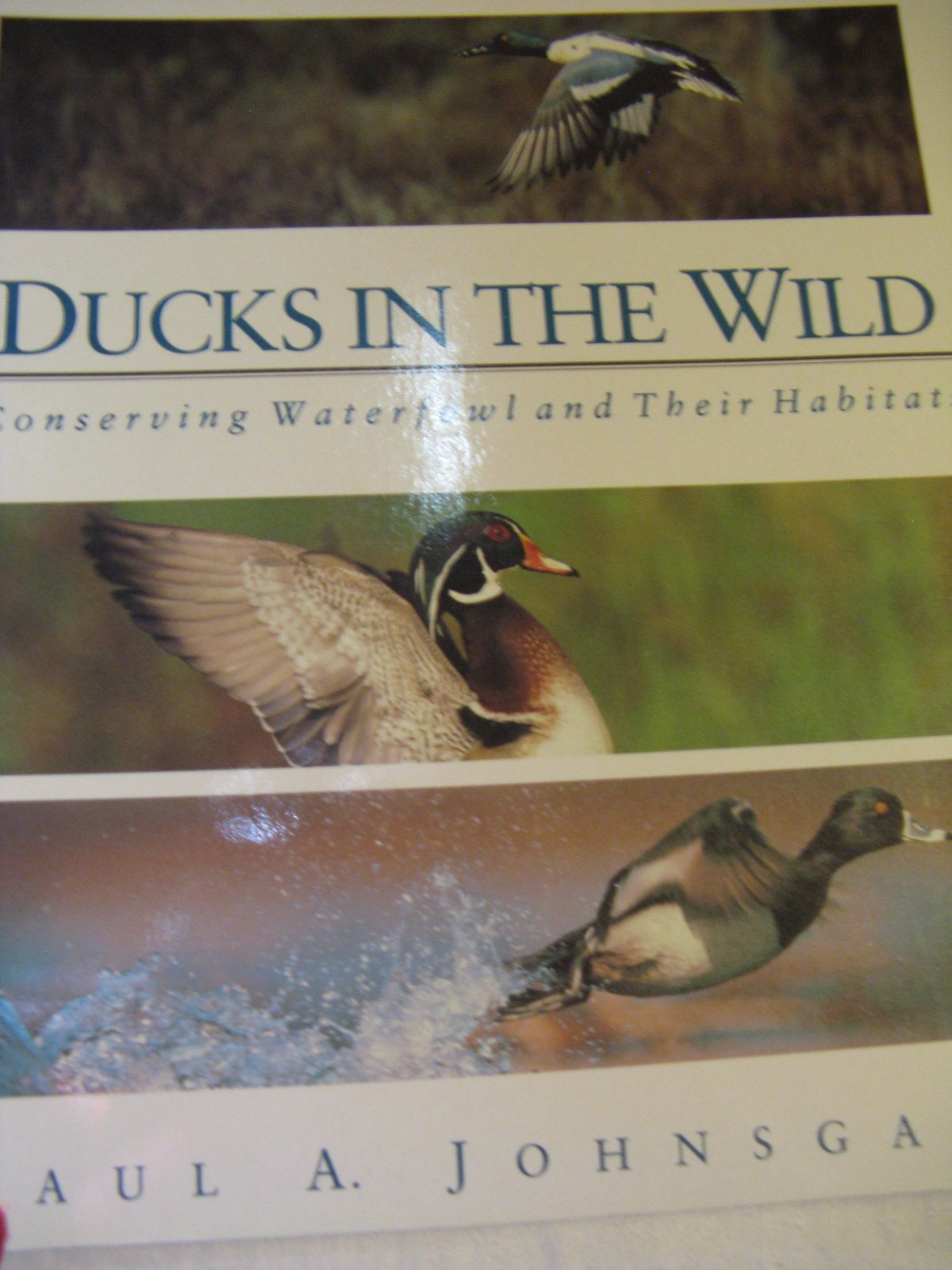 Ducks in the wild: Conserving waterfowl and their habitats Books