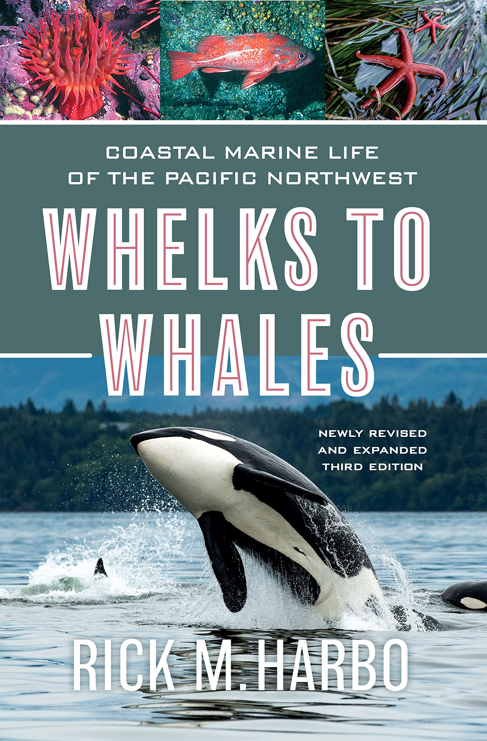 Whelks to Whales: Coastal Marine Life of the Pacific Northwest, Newly Revised and expanded Third edition Geology & Geography