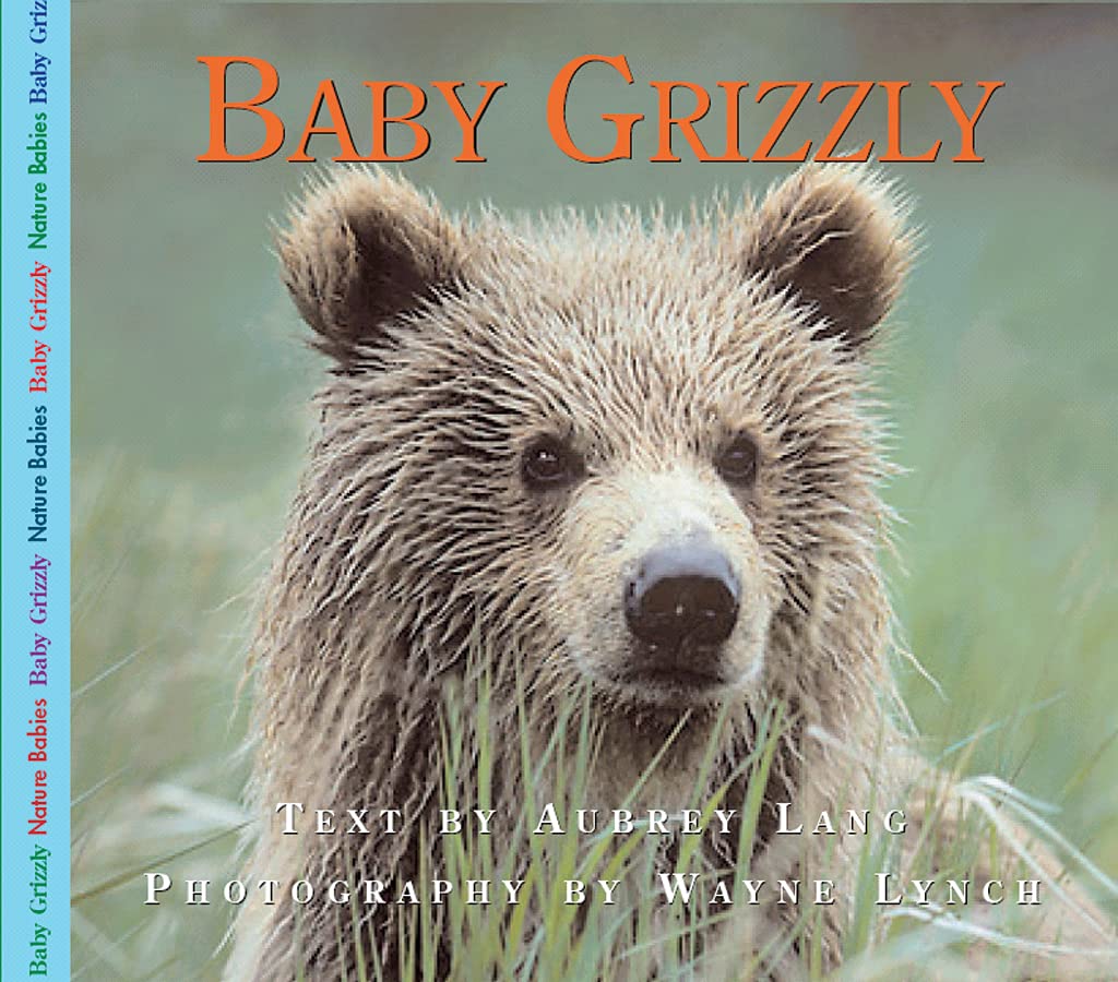 Product Image: Baby Grizzly