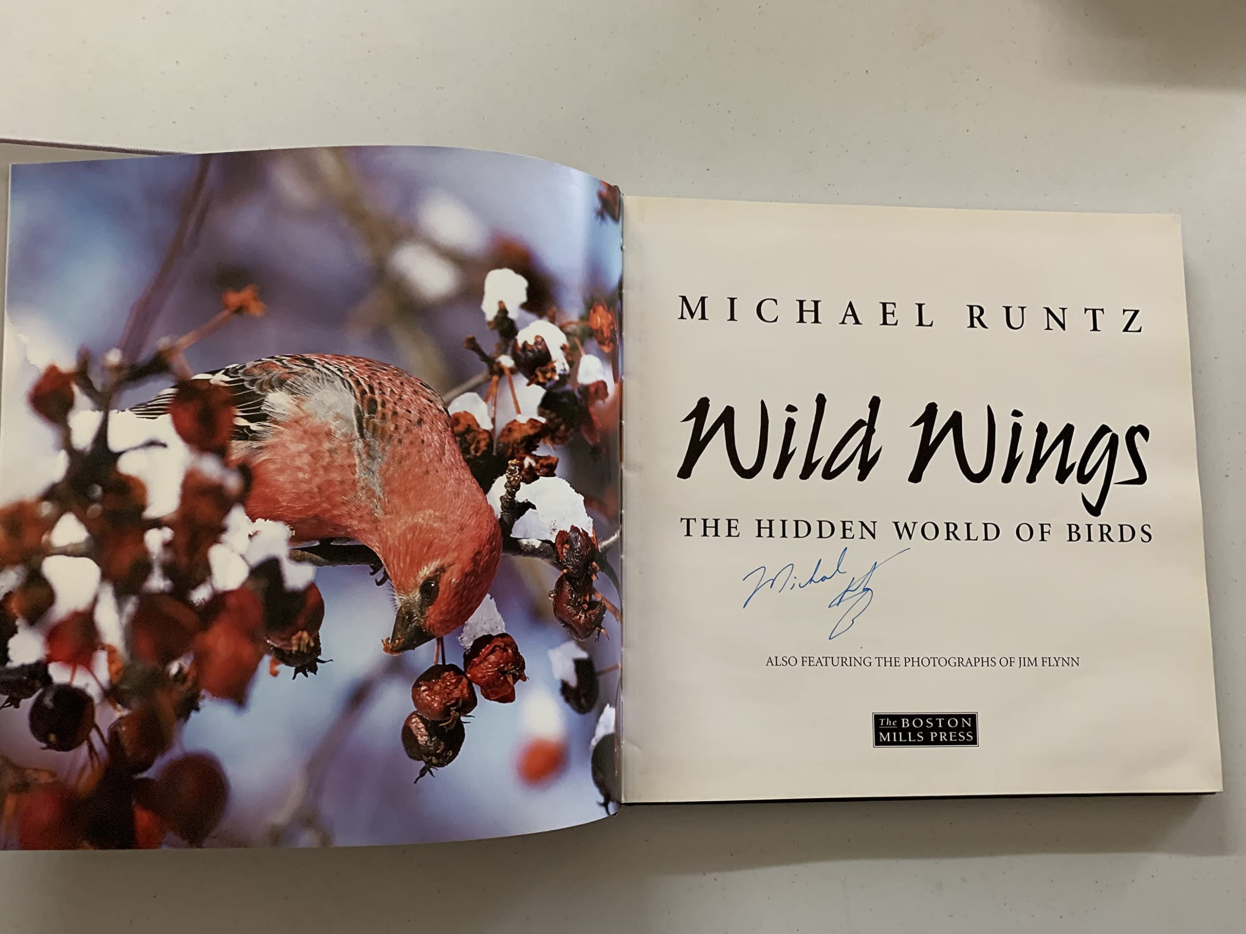 Wild Wings: The Hidden World of Birds book