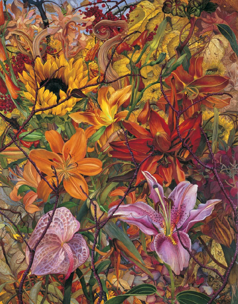 Judy Garfin: Natural Disguise/Deguisement Naturel : Works/Oeuvres 1973-1998 book