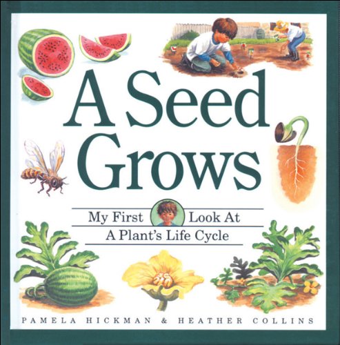 A Seed Grows: My First Look at a Plant's Life Cycle (Child's First Look at Nature - A Unique Flap-Book Series) Non-fiction