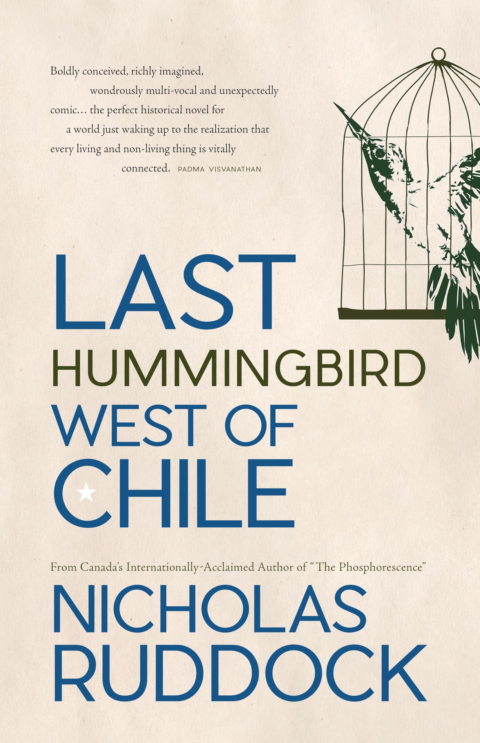Last Hummingbird West of Chile Action & Adventure