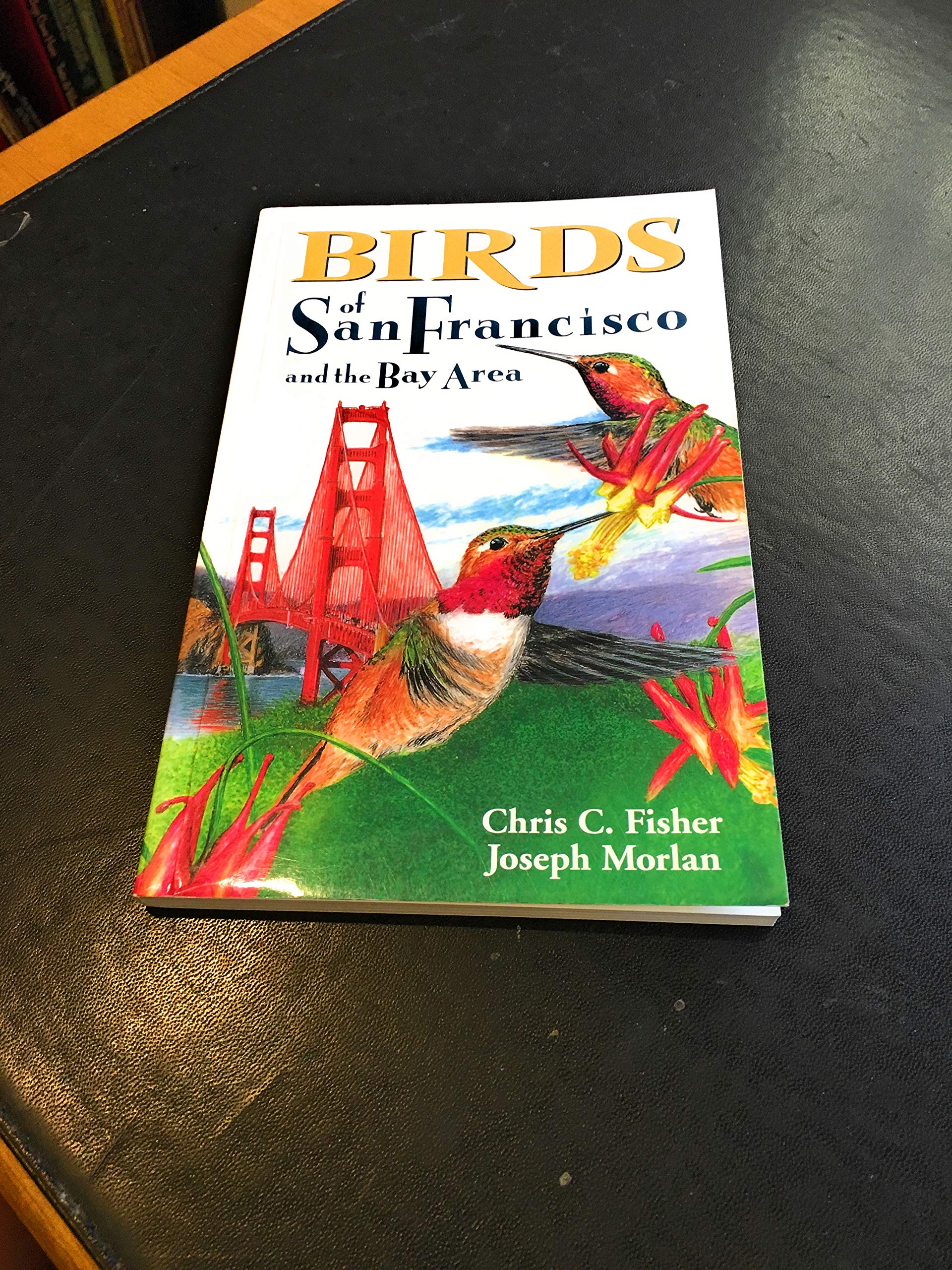 Birds of San Francisco and the Bay Area book