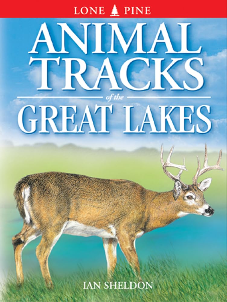 Animal Tracks of the Great Lakes Mathematics