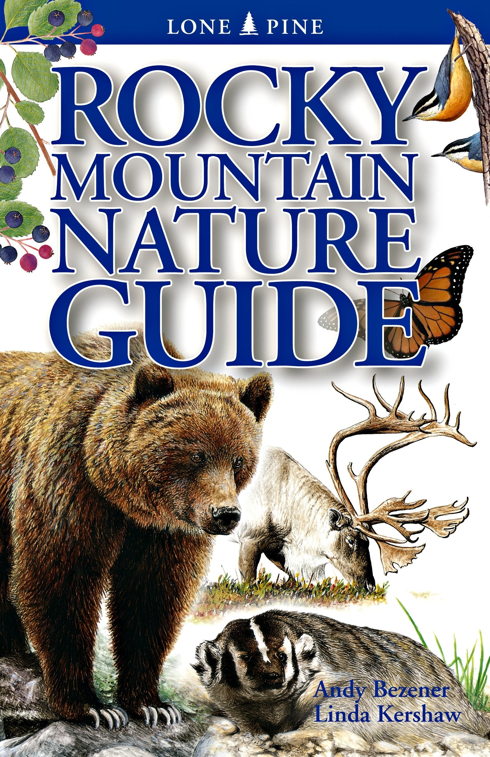 Rocky Mountain Nature Guide Mathematics Books