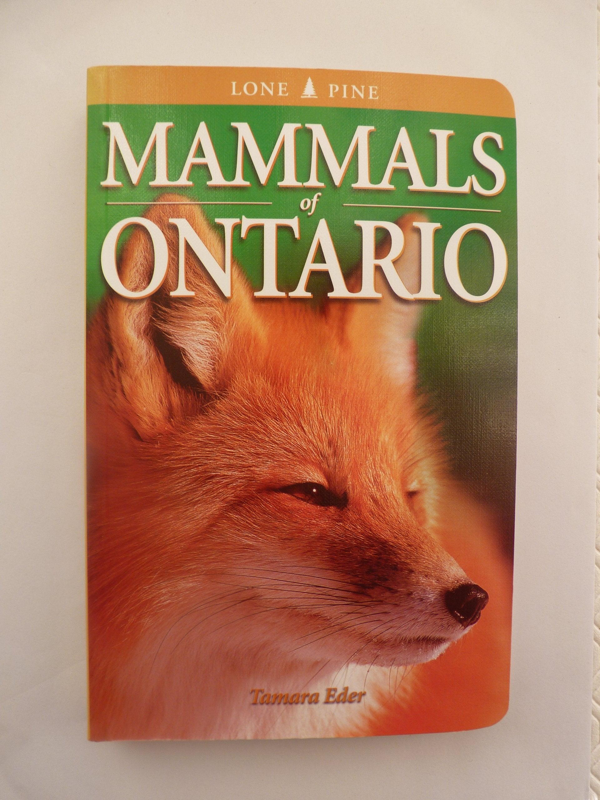 Product Image: Mammals of Ontario