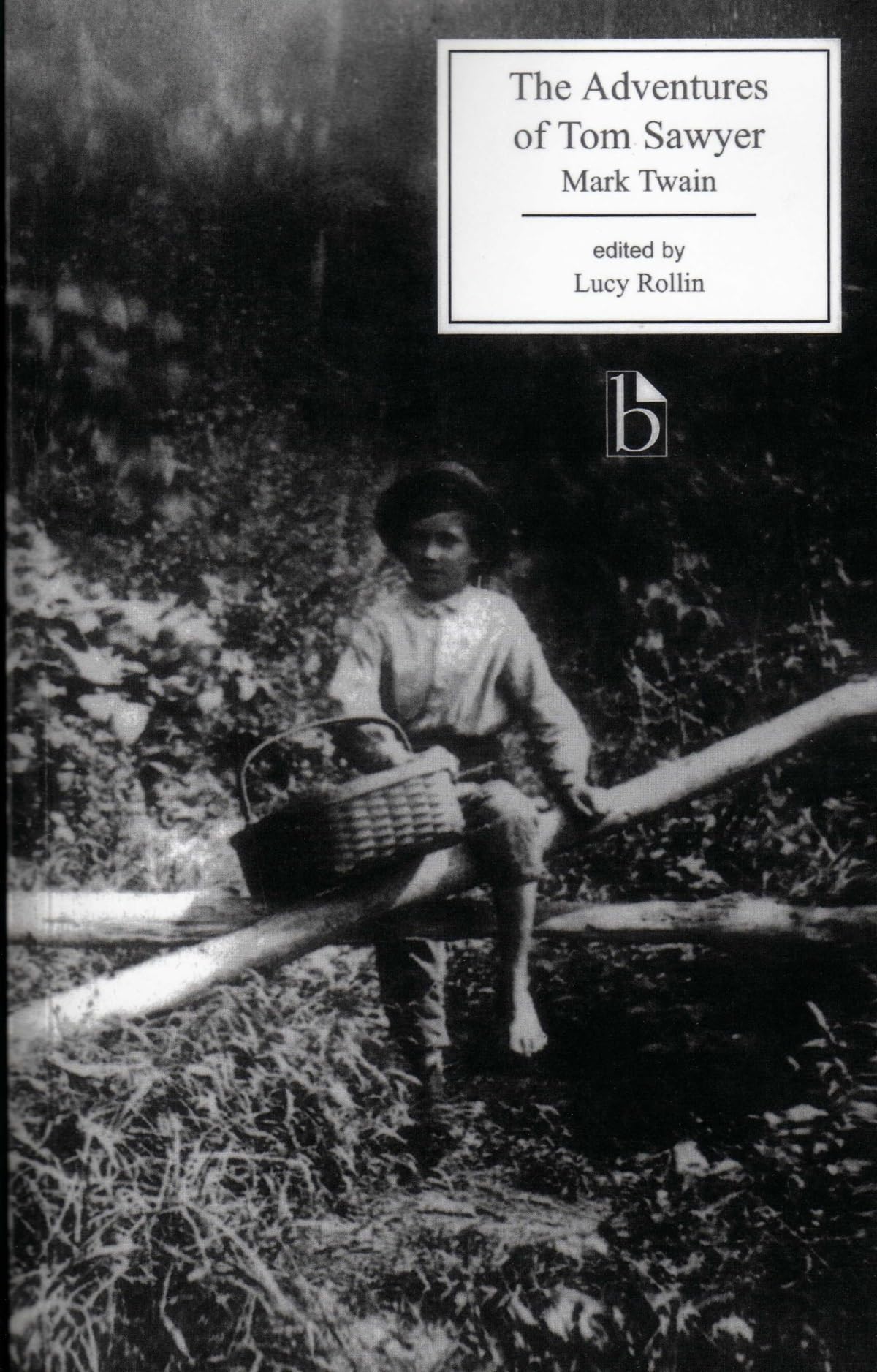 Adventures Of Tom Sawyer (1876) book