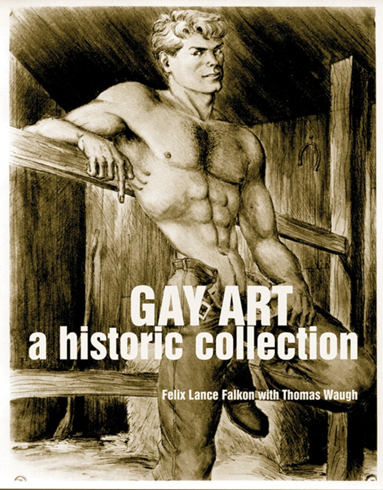 Gay Art: A Historic Collection Books
