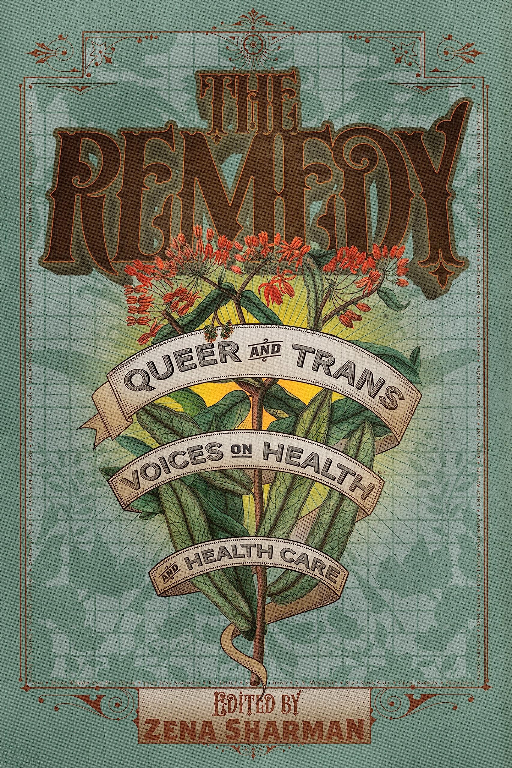 The Remedy: Queer and Trans Voices on Health and Health Care book