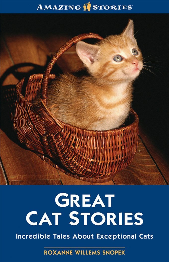 Great Cat Stories: Inspirational Tales About Exceptional Cats (Amazing Stories) book