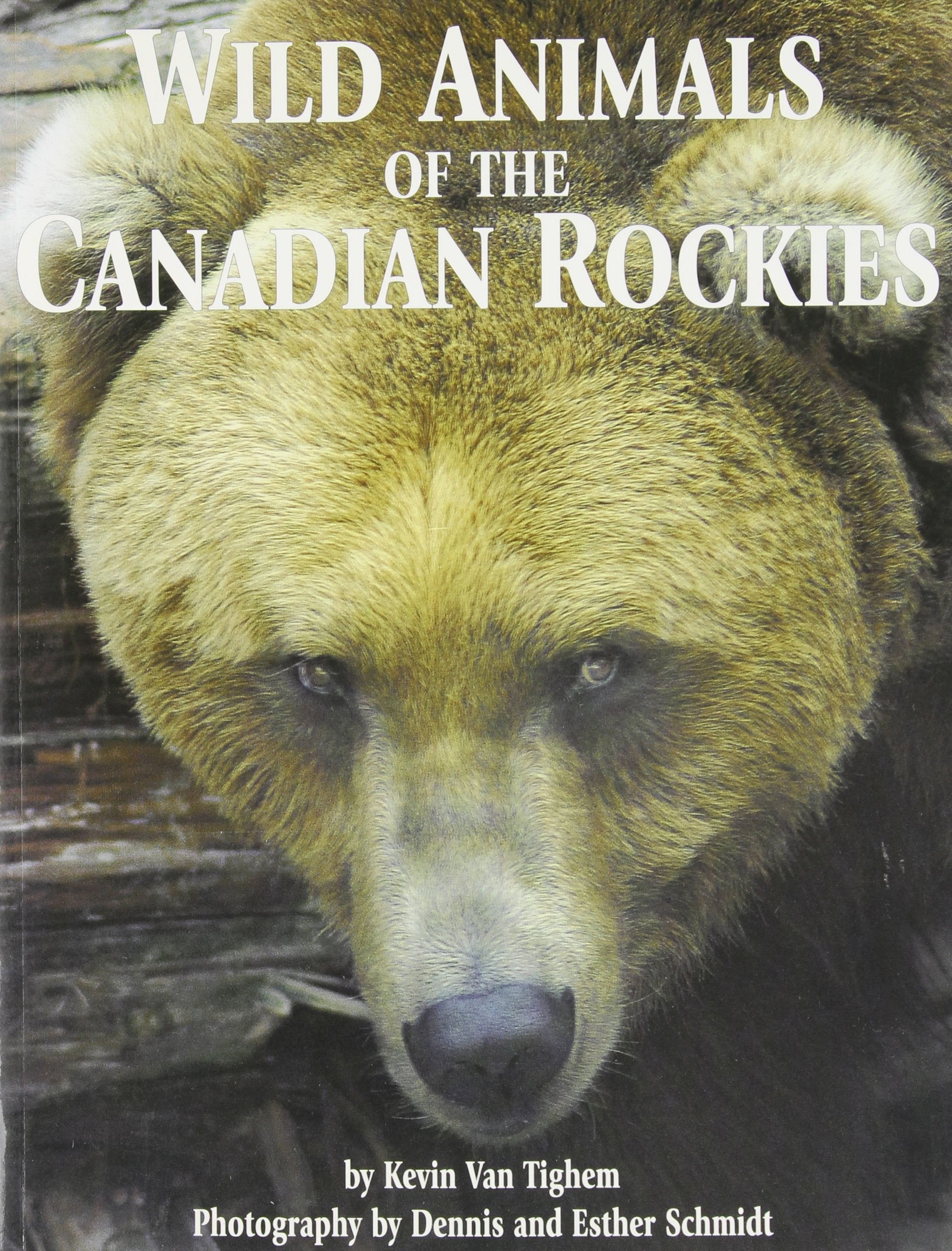 Wild Animals of the Canadian Rockies Mathematics