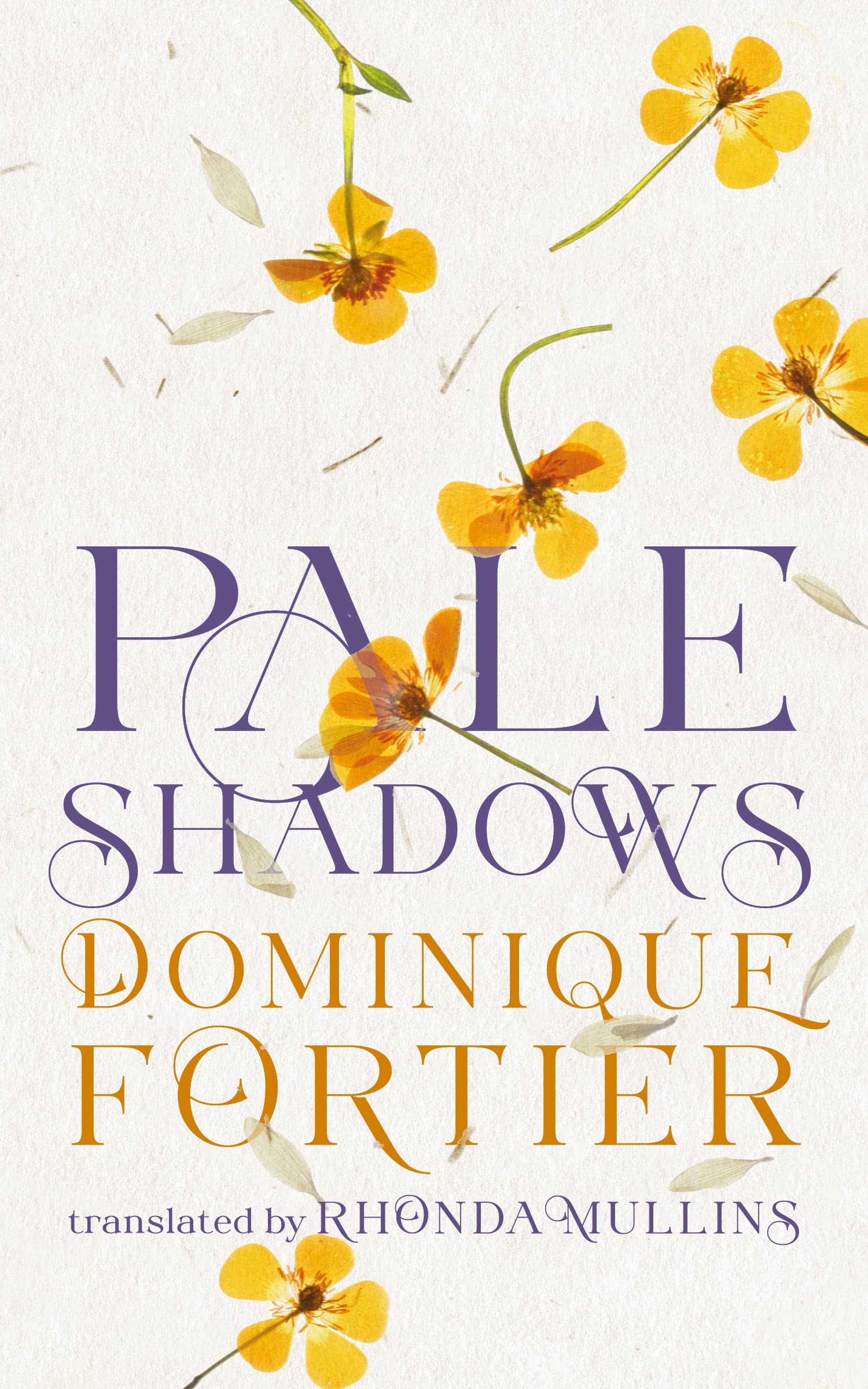 Pale Shadows: A Novel of Emily Dickinson Contemporary literature