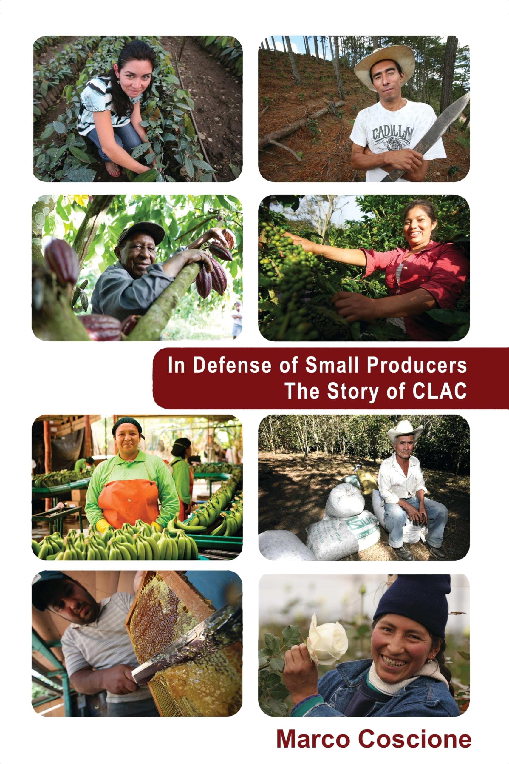 In Defense of Small Producers book