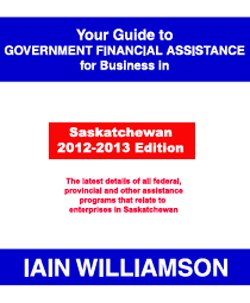 Product Image: Your Guide to Government Financial Assistance for