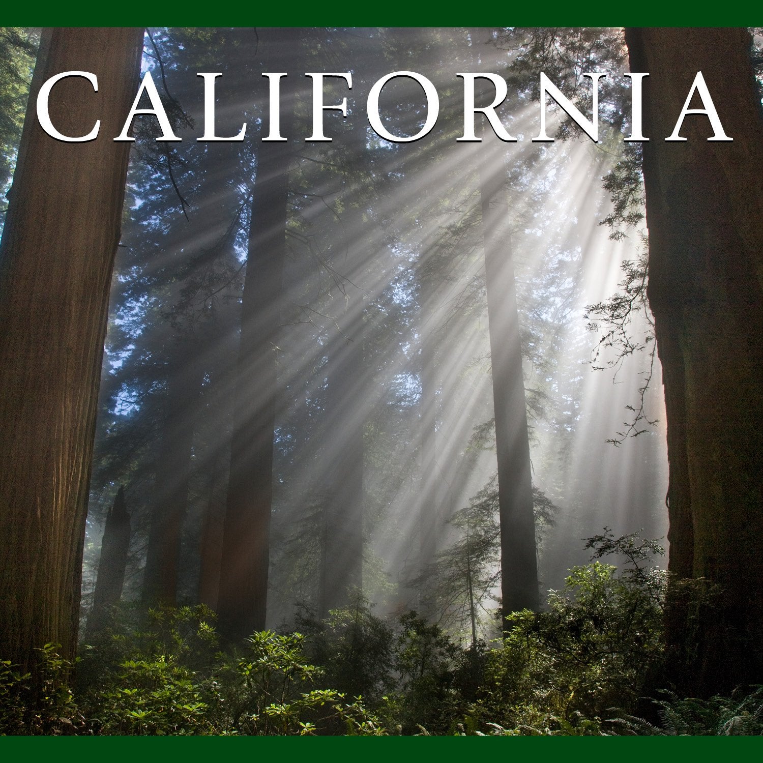 California (America Series) Nature & Animals