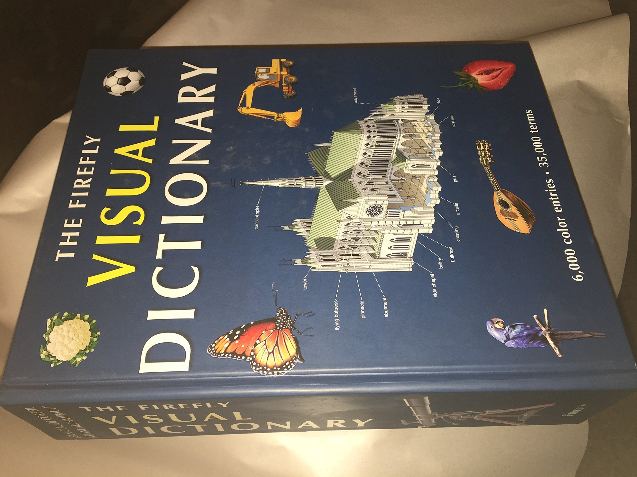 The Firefly Visual Dictionary Medicine