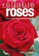 Reliable Roses: Easy-To-Grow Roses That Won't Let You Down Garden & Plants