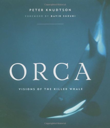 Orca: Visions of the Killer Whale Mathematics