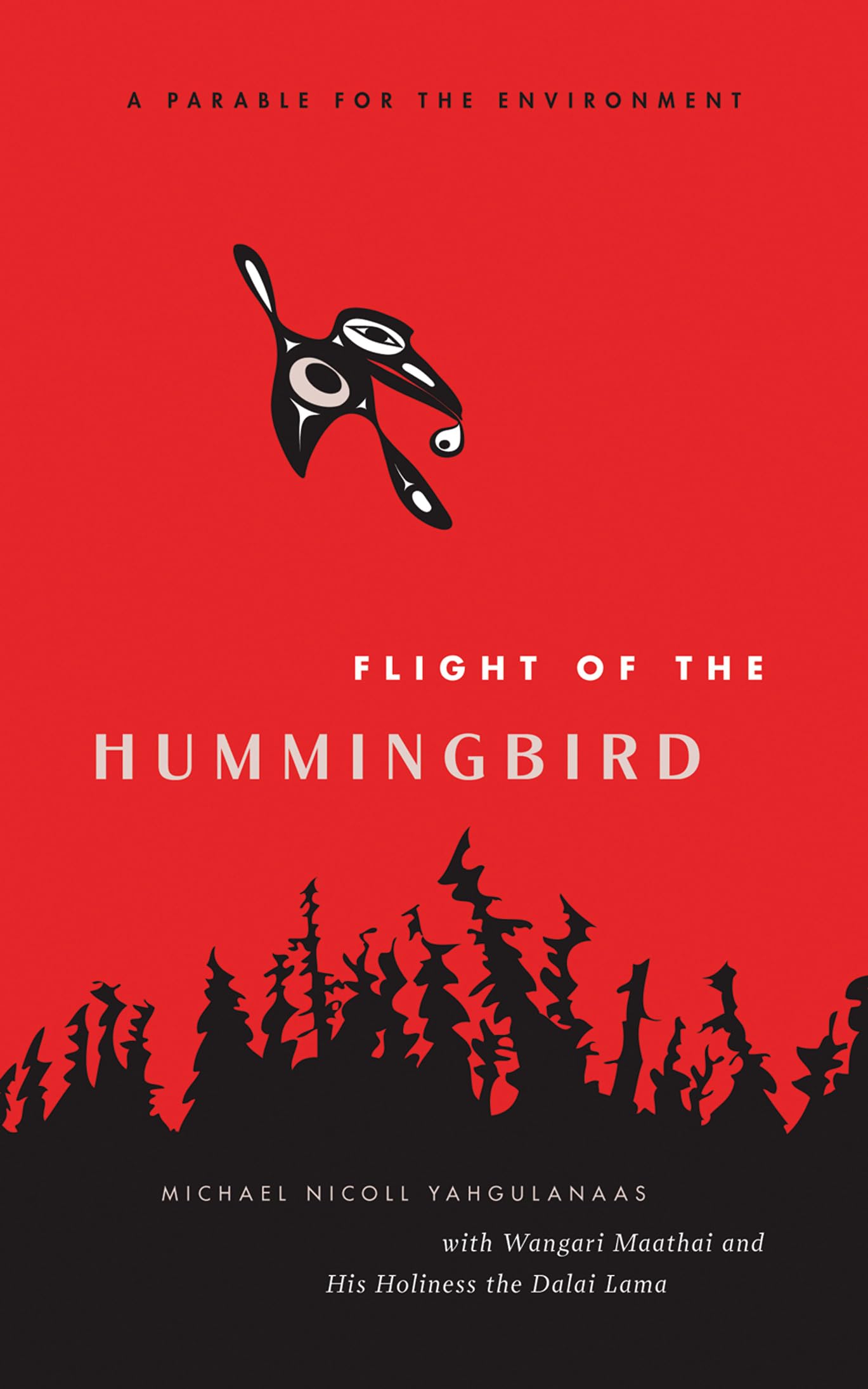 Flight of the Hummingbird Mathematics