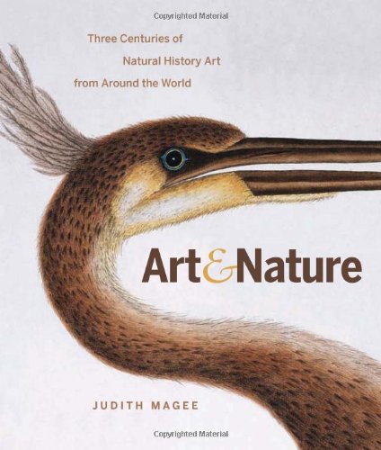 Art and Nature: Three Centuries of Natural History Art from Around the World Mathematics