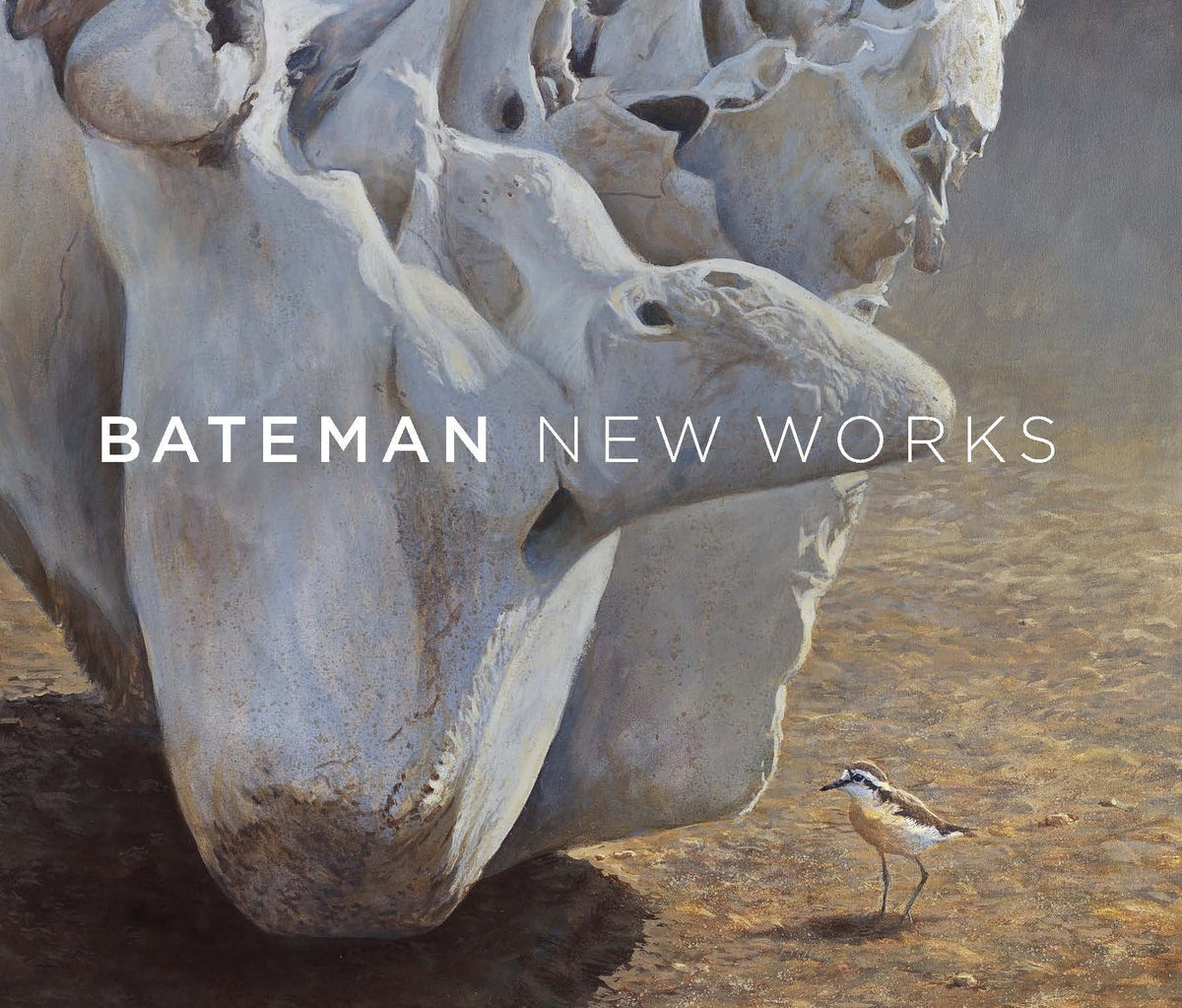 Bateman: New Works Mathematics Books