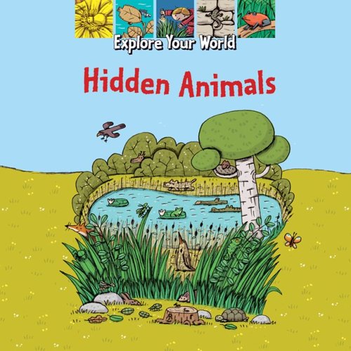 Product Image: Hidden Animals (EXPLORE YOUR WORLD)